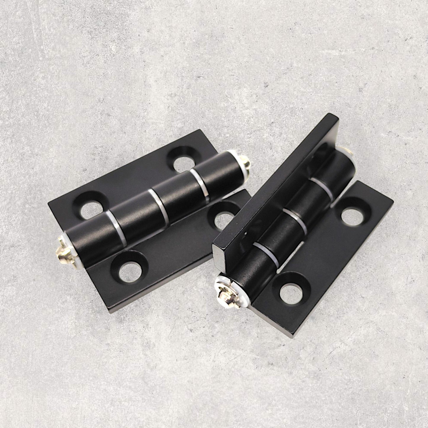 Flip Hinge 21x28 (Set of 2)